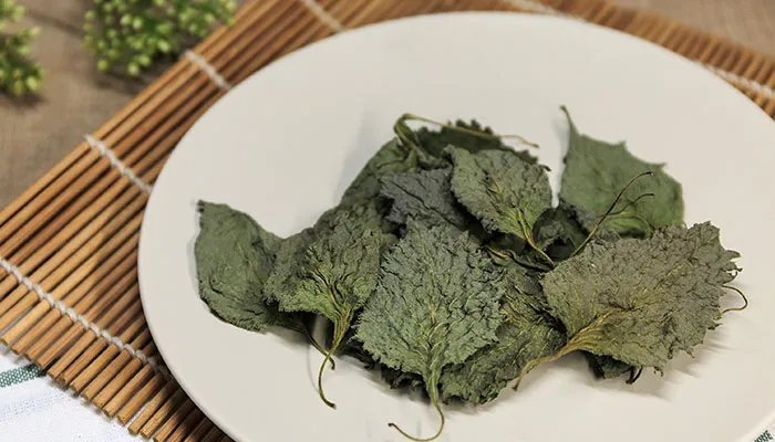 紫苏的功效与作用 紫苏图片