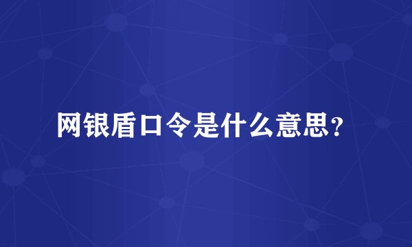 网银盾口令是什么意思？