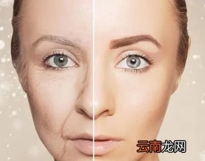 吃胶原蛋白有助于美容吗？