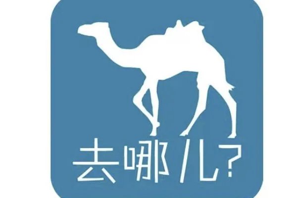 出去旅游，用哪个app好？