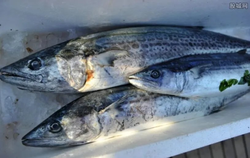 6万斤鱼缺氧死亡 养鱼渔场损失了多少钱