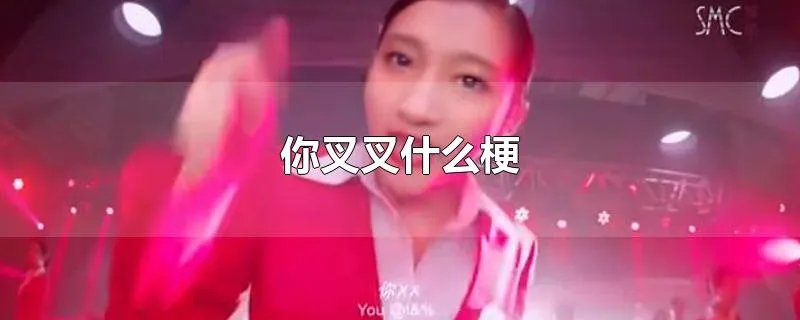 你叉叉什么梗