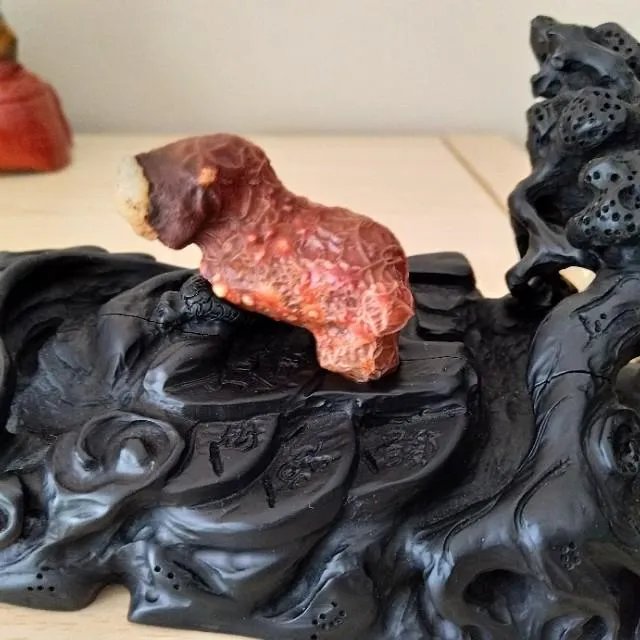 为什么奇石不好买？