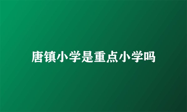 唐镇小学是重点小学吗
