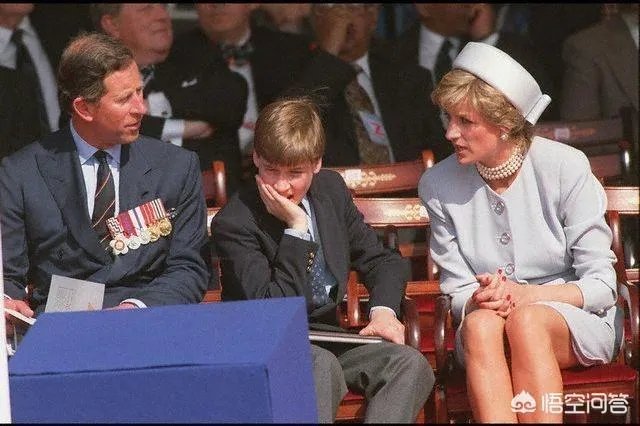 威廉和哈里两位王子和卡米拉的关系怎样？