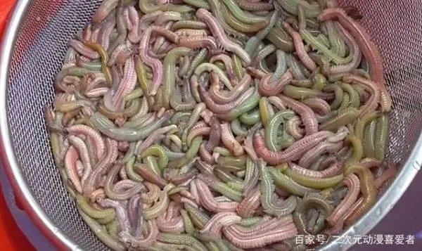 活体蚂蟥在5岁男孩体内存留1年多，体内有蚂蟥会有哪些症状？