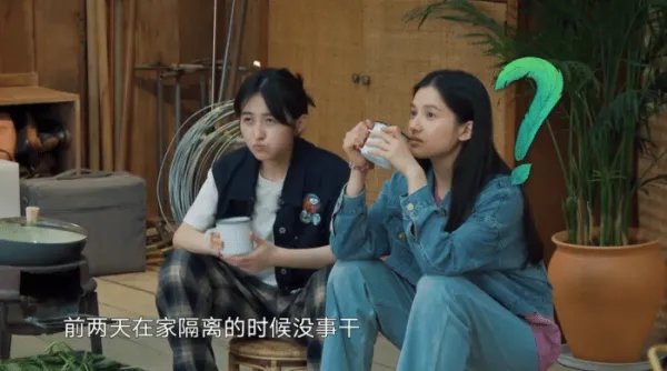 如何看待陶虹在《向往的生活》中只吃素食？