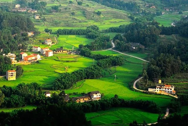 什么是村村通？