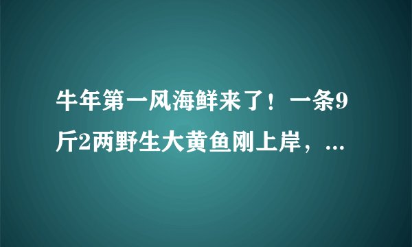 牛年第一风海鲜来了！一条9斤2两野生大黄鱼刚上岸，卖了14.5万元