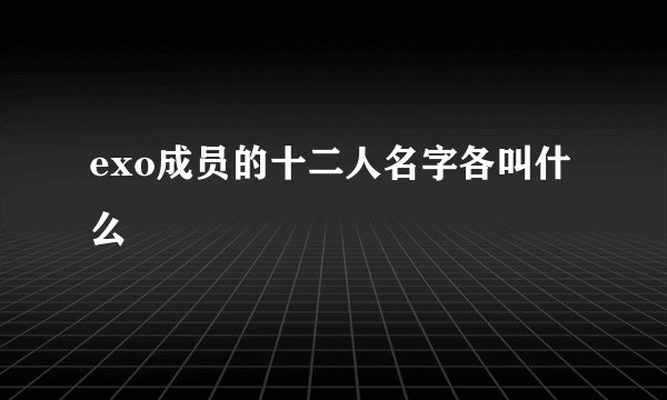 exo成员的十二人名字各叫什么