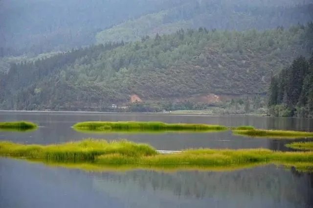 香格里拉和泸沽湖哪个更值得去？