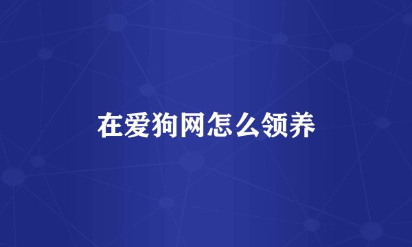 在爱狗网怎么领养