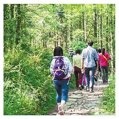 女子为步数排行每天暴走万步，3个月后膝盖出问题，你怎么看待这种问题？