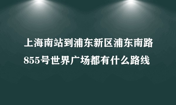 上海南站到浦东新区浦东南路855号世界广场都有什么路线