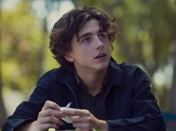 跪求伯德小姐2017年网盘在线观看资源，西尔莎·罗南主演的