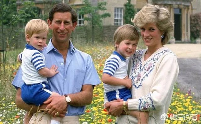 威廉和哈里两位王子和卡米拉的关系怎样？
