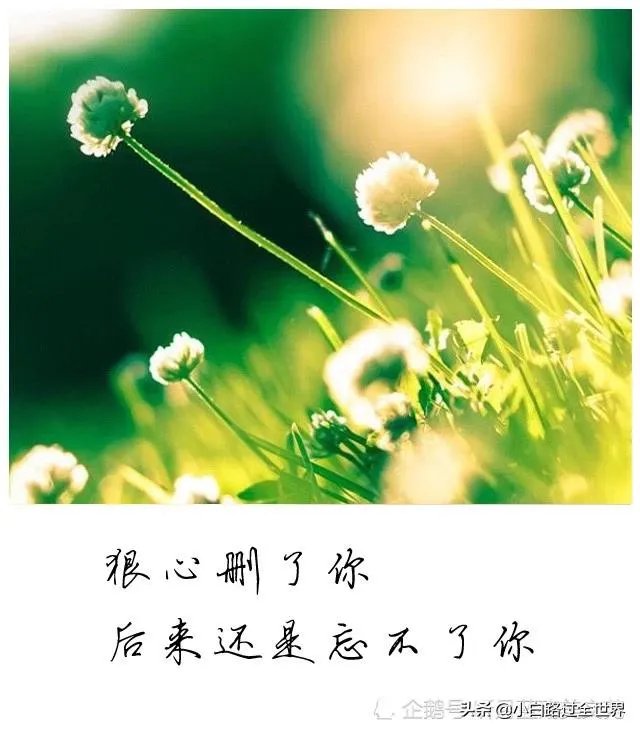 友情和爱情哪个更重要？