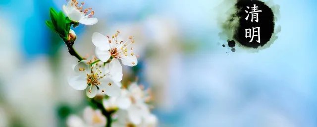 清明节手抄报内容文字 怎么写清明节手抄报内容