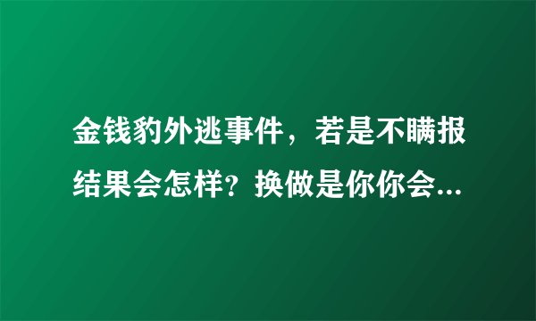 金钱豹外逃事件，若是不瞒报结果会怎样？换做是你你会怎么做？