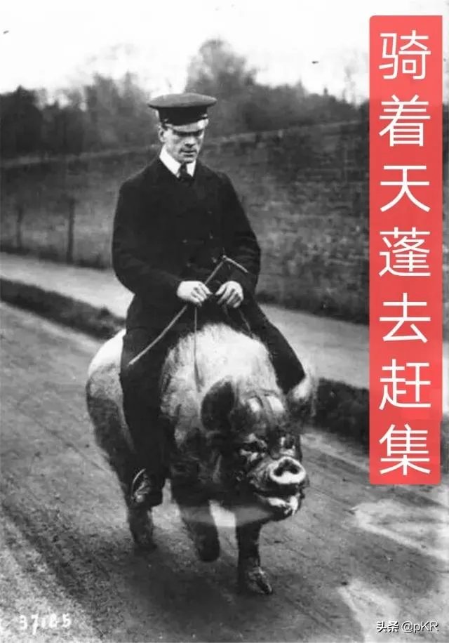 藏品在家不拿出去能私下交易吗?怎样才能把藏品卖出去？