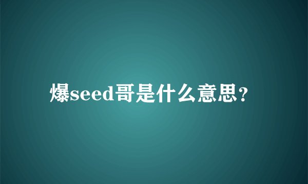爆seed哥是什么意思？