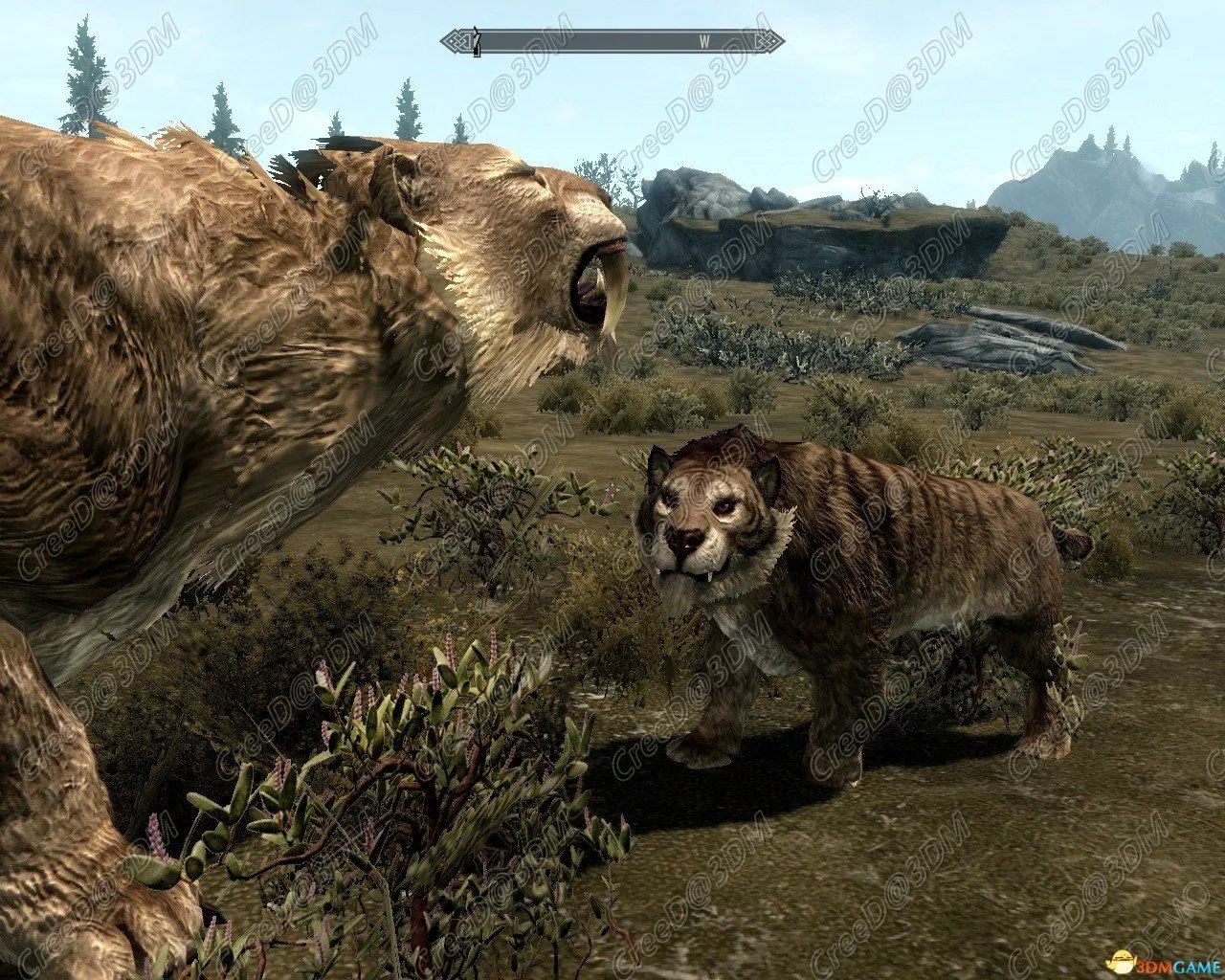上古卷轴5 真实动物与肉食动物 真实的动物MOD