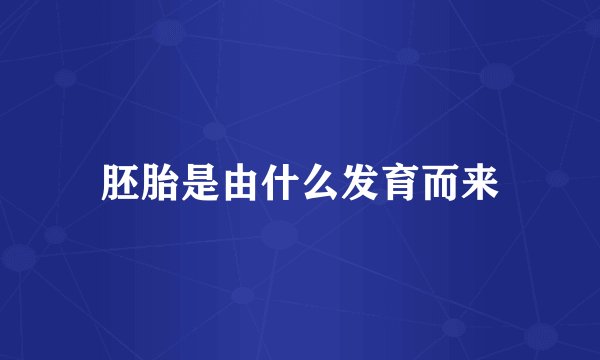 胚胎是由什么发育而来