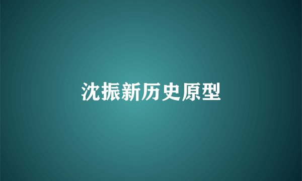 沈振新历史原型