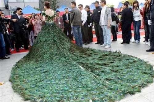 世界上最贵的婚纱盘点 真是没有办法不喜欢呀