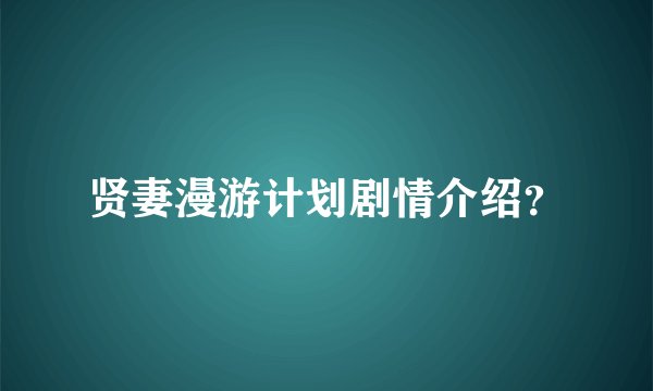贤妻漫游计划剧情介绍？
