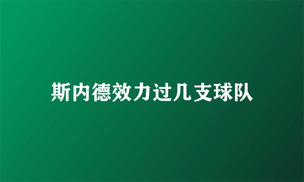 斯内德效力过几支球队