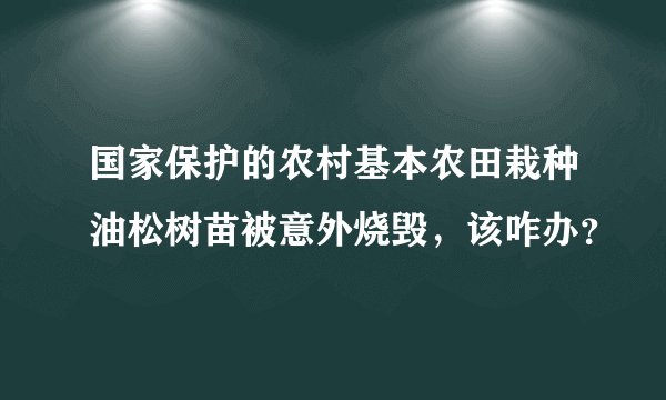 国家保护的农村基本农田栽种油松树苗被意外烧毁，该咋办？