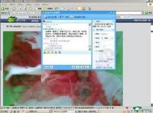 堕胎门的事件概述