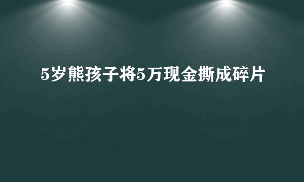 5岁熊孩子将5万现金撕成碎片