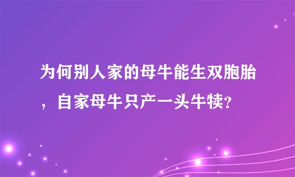 为何别人家的母牛能生双胞胎，自家母牛只产一头牛犊？