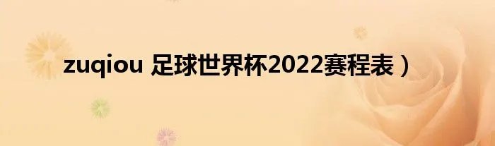 zuqiou 足球世界杯2022赛程表）