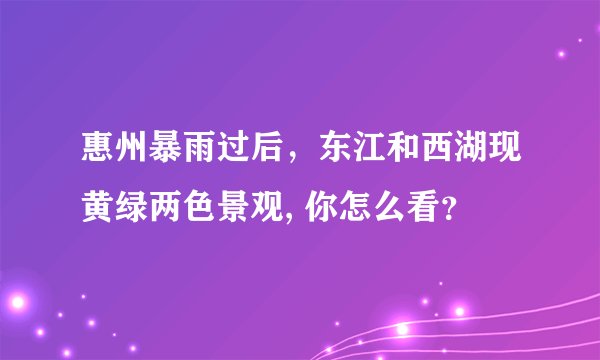 惠州暴雨过后,东江和西湖现黄绿两色景观, 你怎么看?