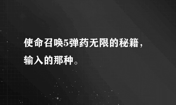 使命召唤5弹药无限的秘籍，输入的那种。