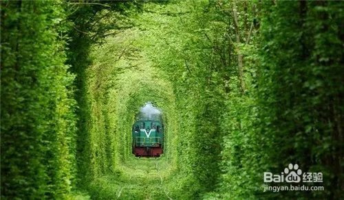 全球八大令人惊叹的隧道，中国郭亮隧道排名第一