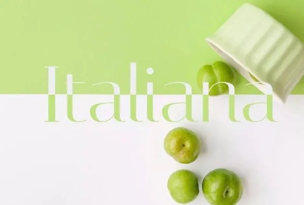 常用的英文字体有哪些？