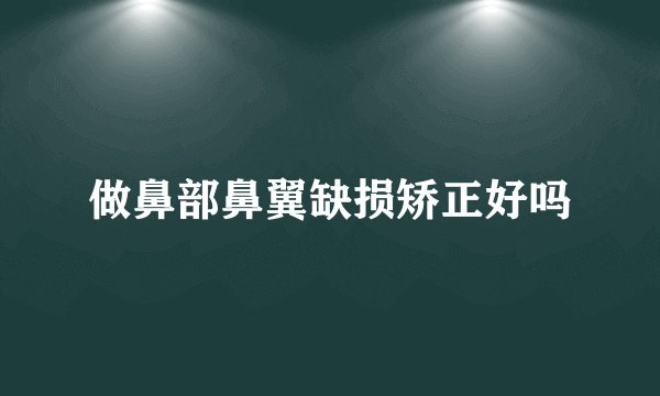 做鼻部鼻翼缺损矫正好吗