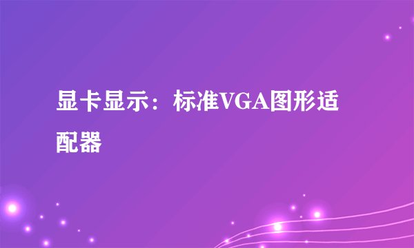显卡显示：标准VGA图形适配器