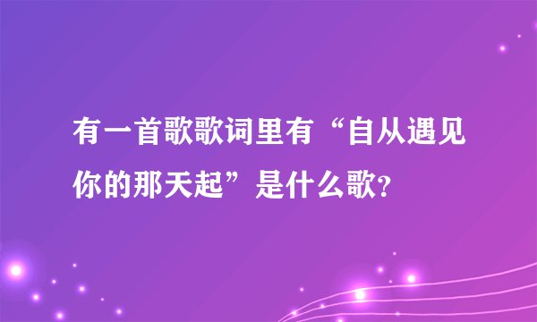 有一首歌歌词里有“自从遇见你的那天起”是什么歌？