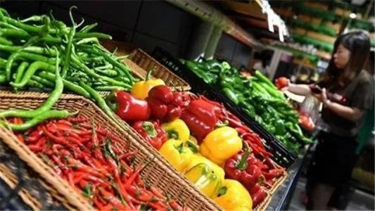 全球食品价格连续9个月上涨，导致物价上涨的原因有什么？