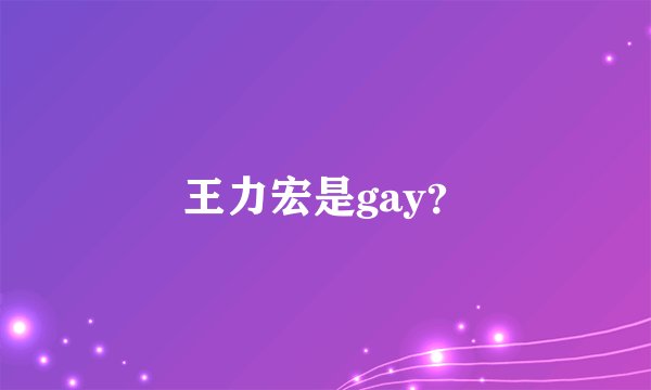 王力宏是gay？
