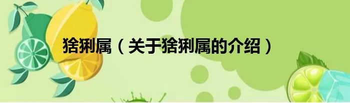 猞猁属（关于猞猁属的介绍）