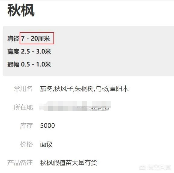 怎么在网上买到真苗木