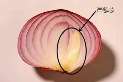 洋葱放入耳朵一夜竟然出现奇迹了（图）