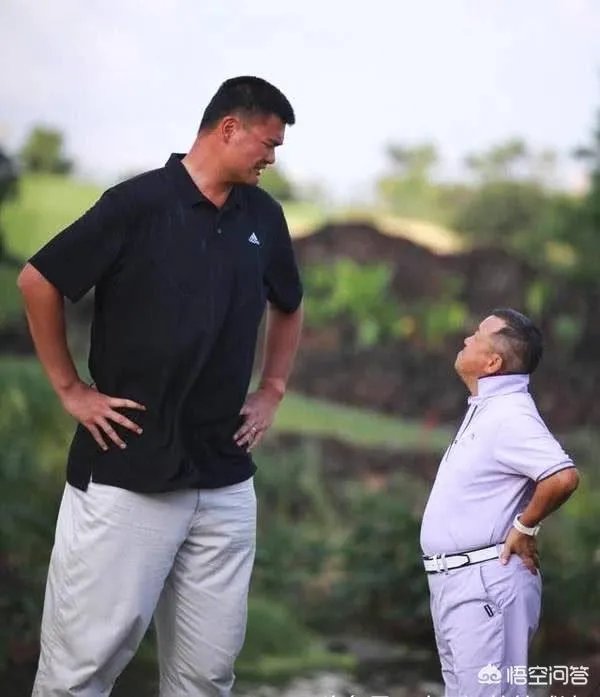 你觉得NBA球星和姚明一起合影会是什么效果？