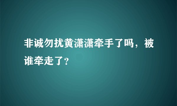非诚勿扰黄潇潇牵手了吗，被谁牵走了？